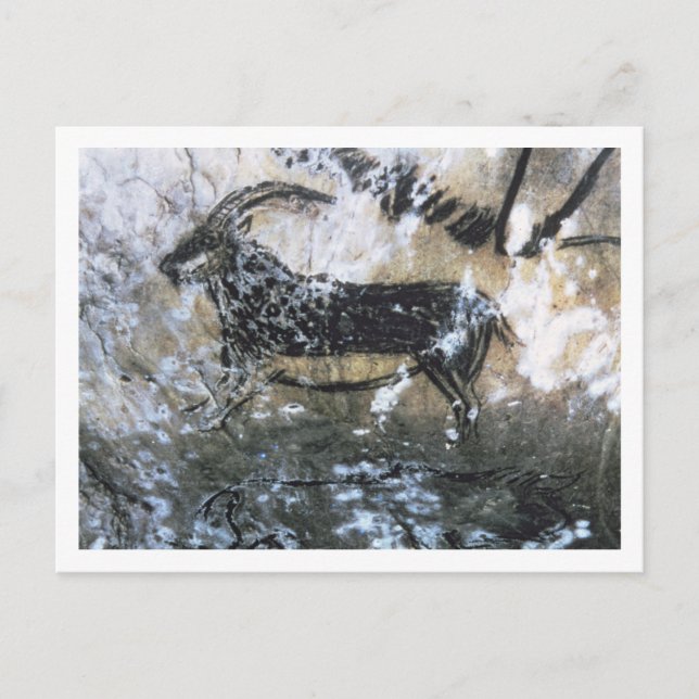 Cartão Postal Cabra ou Chamois, pintura de rocha na Sala Negra, (Frente)