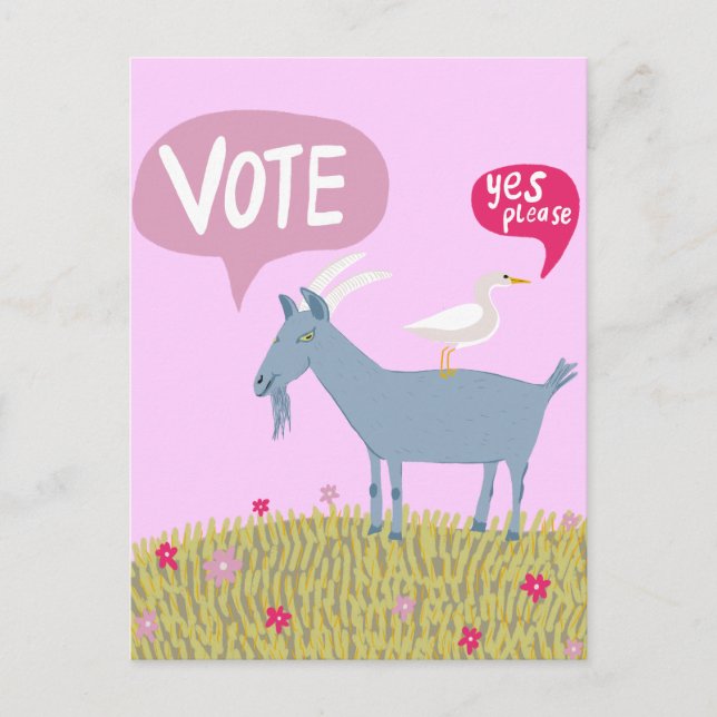 Cartão Postal CABRA VOTANTE Voto Eleições 2024 Rosa Fofo (Frente)