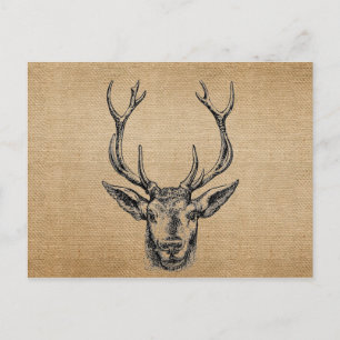 Cartão Postal Caça à Cabeça de Veado Burlap Vintage