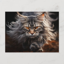 Cartão Postal Caça ao Gato Maine Coon