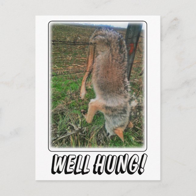 CARTÃO POSTAL CAÇA DE COYOTE - BEM CAÇA SOBRE A FENÇA (Frente)
