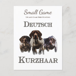 Cartão Postal Caça de pássaros, caça de pássaros de caça ao plan