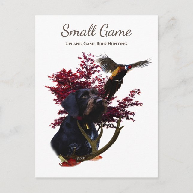 Cartão Postal Caça de pássaros, caça de pássaros de caça ao plan (Frente)