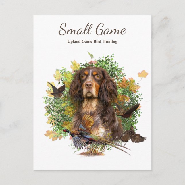 Cartão Postal Caça de pássaros, caça de pássaros de caça ao plan (Frente)