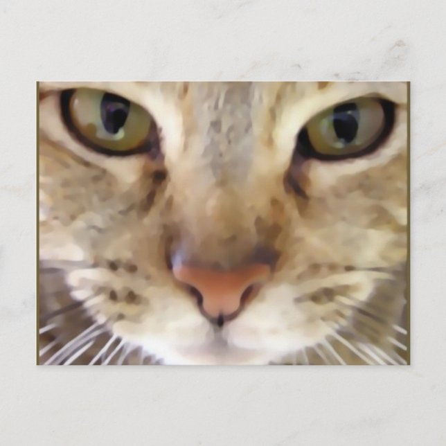 Cartão Postal Caçador (Frente)