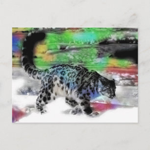 Cartão Postal Caçador de Neve 5