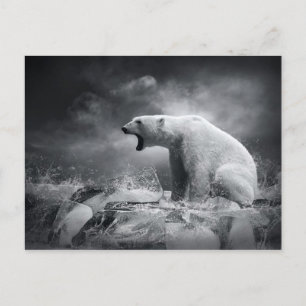 Cartão Postal Caçador de Urso Polar Branco sobre o Gelo na águ