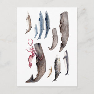 Cartão Postal Cachalote y zianos: Ballenas de las profundidades