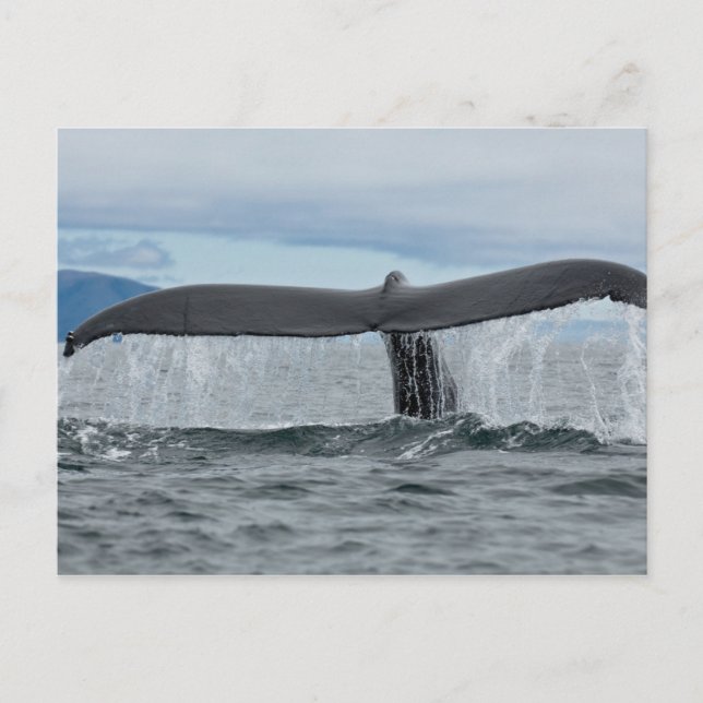 Cartão Postal Cachoeira (Frente)