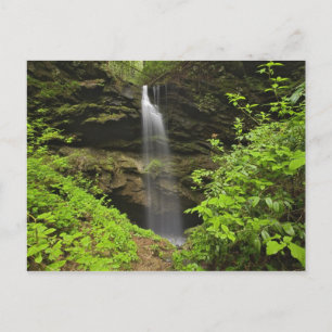Cartão Postal Cachoeira caindo na pia, Whiteoak Sink,