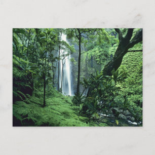 Cartão Postal Cachoeira Hanakapiai ao longo da Costa Na Pali, Ka