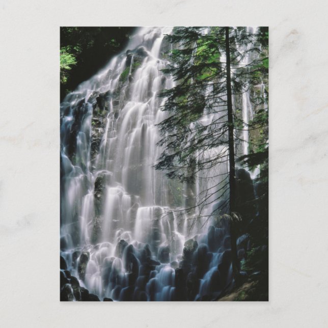 Cartão Postal Cachoeira na floresta, Oregon (Frente)