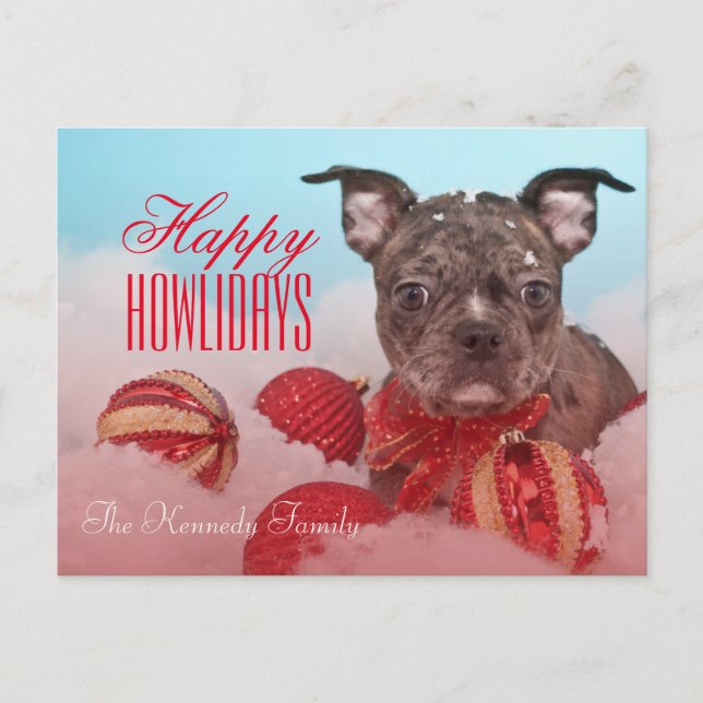 Cartão Postal Cachorinha Bonita (Frente)