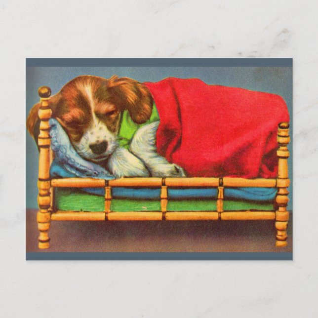 Cartão Postal cachorrinho adormecido (Frente)