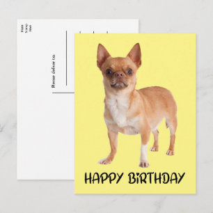 Cartão Postal Cachorrinho Amarelo Engraçado Chihuahua Aniversári
