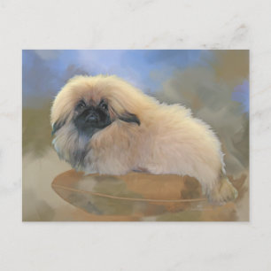 Cartão Postal Cachorrinho Bonito