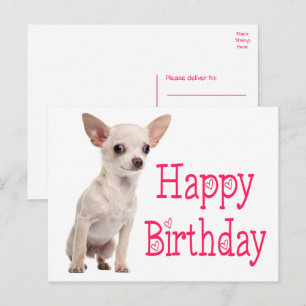Cartão Postal Cachorrinho Bonito Cachorro Engraçado Aniversário 