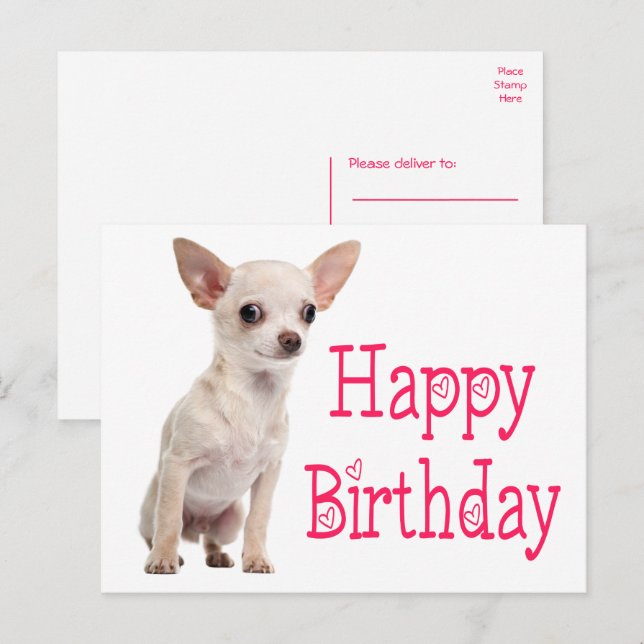 Cartão Postal Cachorrinho Bonito Cachorro Engraçado Aniversário  (Frente/Verso)