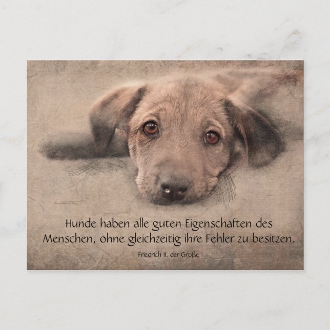 Cartão postal cachorrinho com citação (Frente)