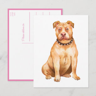 Cartão Postal Cachorrinho Pitbull Pittie Você Me Faz Falta Amor