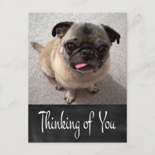 Cartão Postal Cachorrinho Pug Pensando em Você Quadro Negro Cart