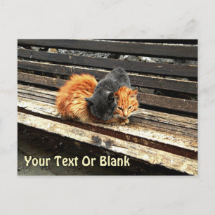 Cartão Postal Cachorrinhos Sonolentos