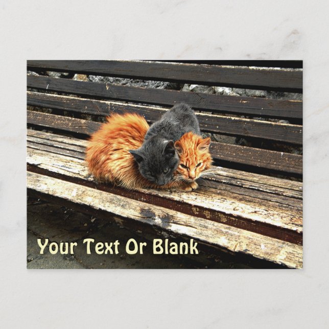 Cartão Postal Cachorrinhos Sonolentos (Frente)