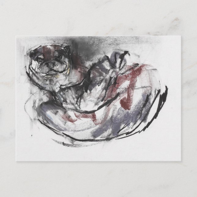 Cartão Postal Cachorro (Frente)