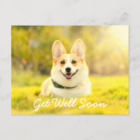 Cachorro Amarelo e Encorajamento Recupere-se Bem