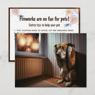 Cartão Postal Cachorro Assustado Assistindo Fogos de Artifício