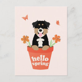 Cartão Postal Cachorro Australiano Em Pote De Flor