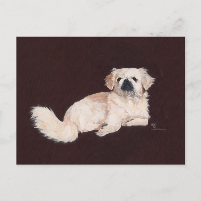 Cartão Postal Cachorro Branco de Pekingese (Frente)