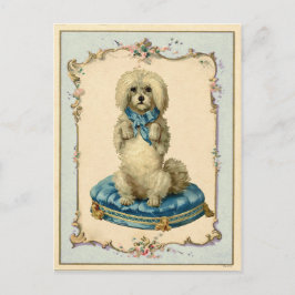 Cartão Postal Cachorro Cachorro Azul Cozinha Reprodução da Vinta