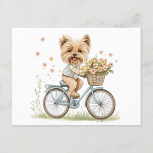 Cartão Postal Cachorro Cachorro Cachorro Cachorro Bicando Flores