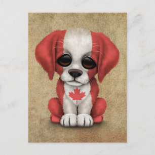 Cartão Postal Cachorro Cachorro de Bandeira Patriótica Canadian