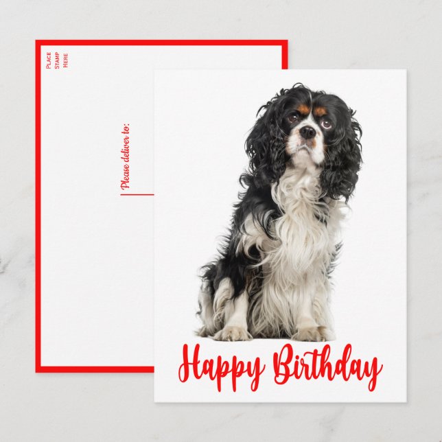 Cartão Postal Cachorro Cavalier Rei Charles Spaniel Birthday Po (Frente/Verso)