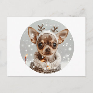 Cartão Postal Cachorro Chihuahua Rena de Natal