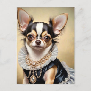 Cartão Postal Cachorro Chihuahua Vestindo Roupa