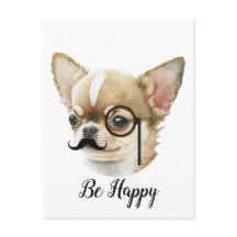 Cachorro Chinhuahua Cachorro