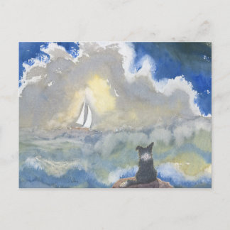 Cartão Postal Cachorro Collie da fronteira jorrando para o mar