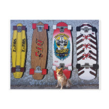 Cachorro com mural de skate Dogtown