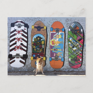 Cartão Postal Cachorro com skateboards Mural
