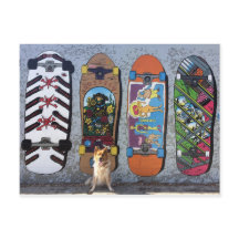 Cachorro com skateboards Mural