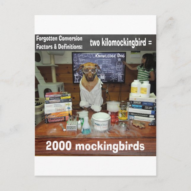 Cartão Postal Cachorro Conhecido - Conversão Esquecida, kilomock (Frente)