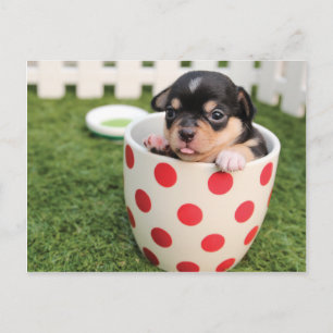 Cartão Postal Cachorro Corinto na caneca