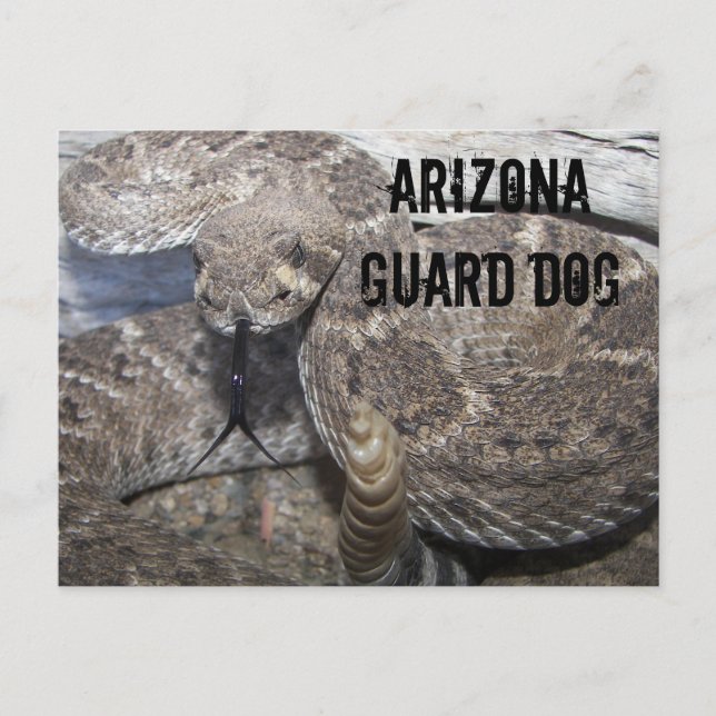 Cartão Postal Cachorro da Guarda da arizona (Frente)