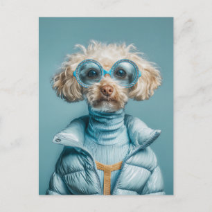 Cartão Postal Cachorro da Moda com Roupa Azul