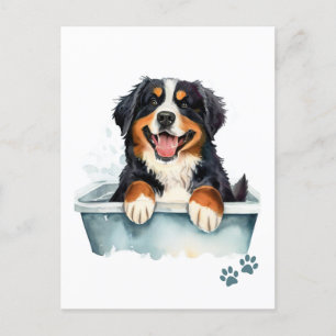 Cartão Postal Cachorro da Montanha Bernese