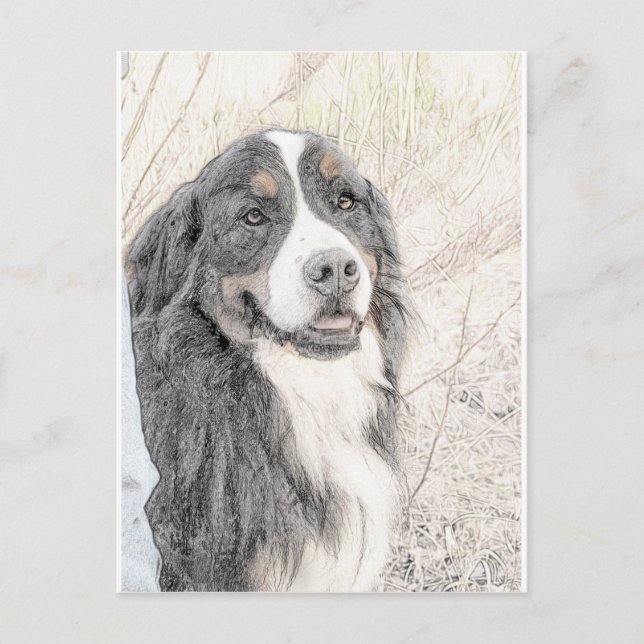 Cartão Postal Cachorro da Montanha Bernese (Frente)