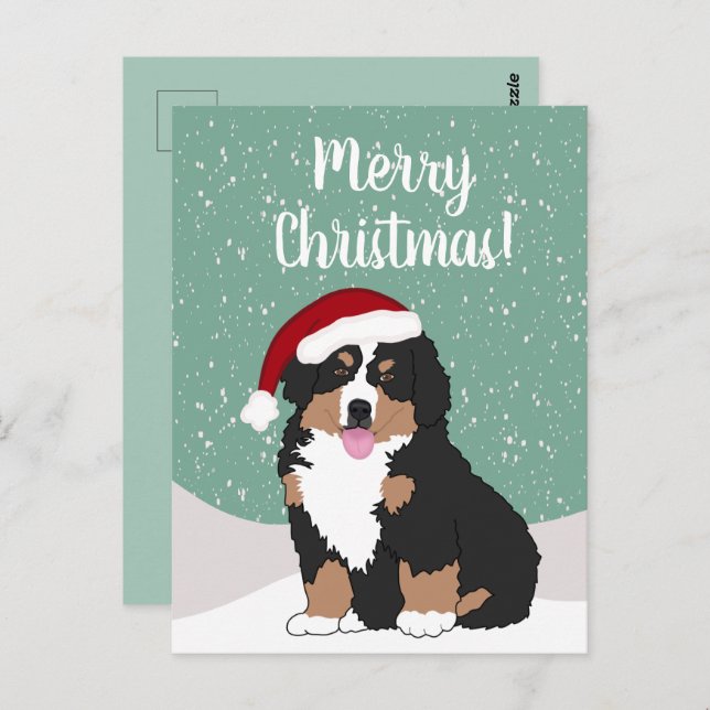 Cartão Postal Cachorro da montanha Bernese de Natal  (Frente/Verso)